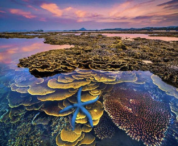 Việt Nam sắp có thêm một công viên địa chất toàn cầu được UNESCO công nhận