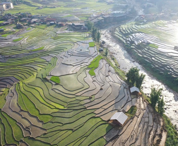 22 họa sĩ “Hoạ sắc Mường Hoa” mùa nước đổ tuyệt đẹp