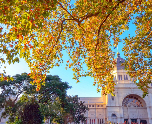 Photo Travel: Carlton, khu vườn di sản giữa trái tim Melbourne
