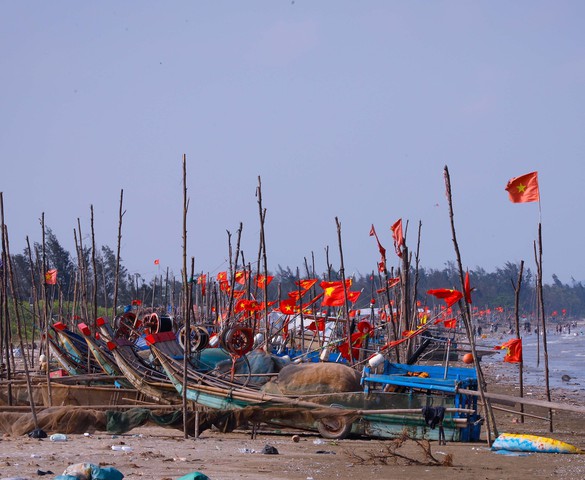 Photo Travel: Đường ven biển, "dải lụa xanh" bên sóng biển Nghệ An