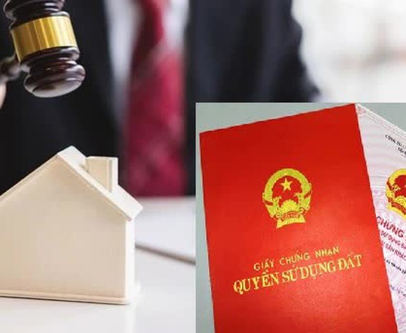 Hà Nội: Sắp đấu giá 17 thửa đất tại xã Ứng Thiên, giá khởi điểm từ 11,8 triệu đồng/m2