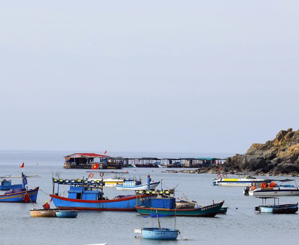 Photo Travel: Phiên chợ cá sớm ở làng chài Nhơn Lý