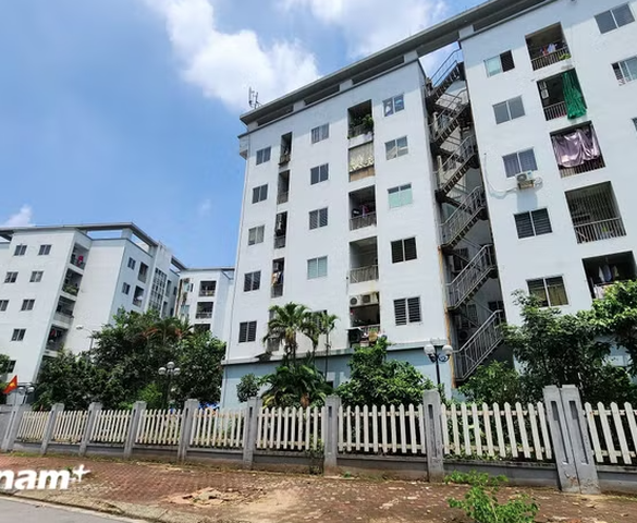 Chính phủ quy định 22 trường hợp được miễn thuế thu nhập cá nhân