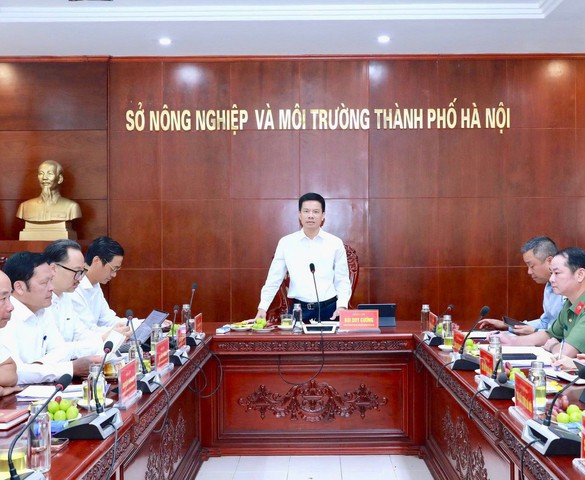 Hà Nội yêu cầu xử lý dứt điểm vướng mắc đất đai, kiên quyết thu hồi dự án không chuyển biến