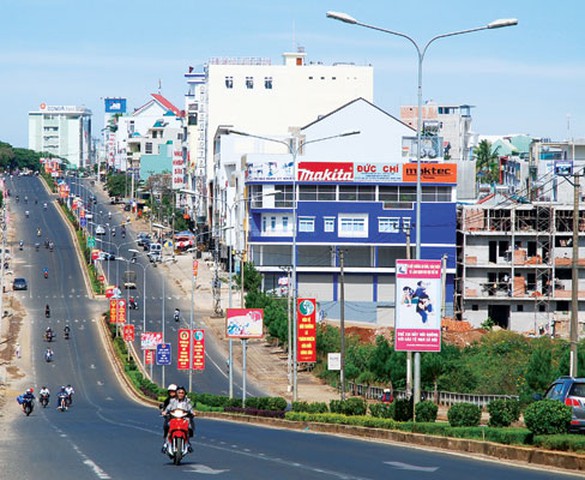 Gia Lai: Thanh tra 6 doanh nghiệp sai phạm về sử dụng đất công