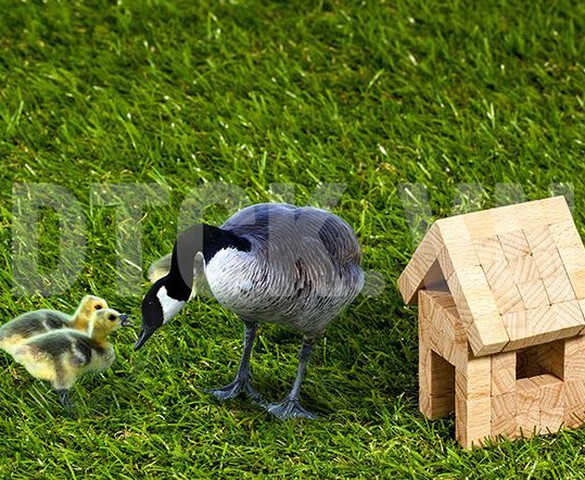 Kiếm tìm tình yêu