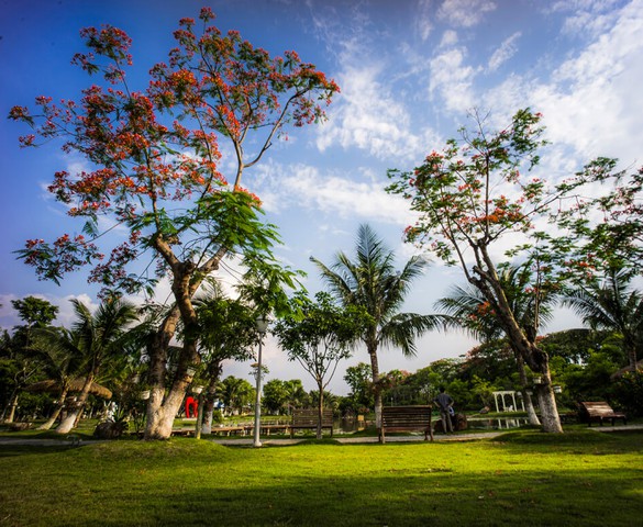 Tản mạn về không gian sống