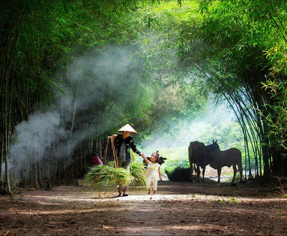Tôi sống dưới một nếp nhà