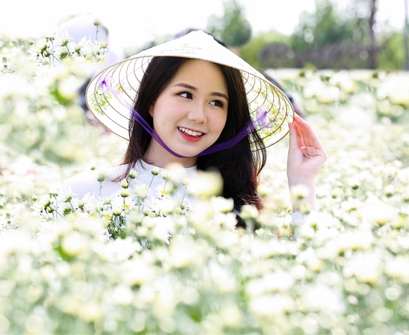 Hà Nội - Có một Mùa Họa mi