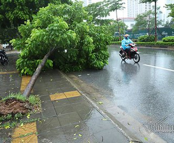 Dự báo thời tiết ngày 14/6/2020: Hà Nội mưa dông trên diện rộng