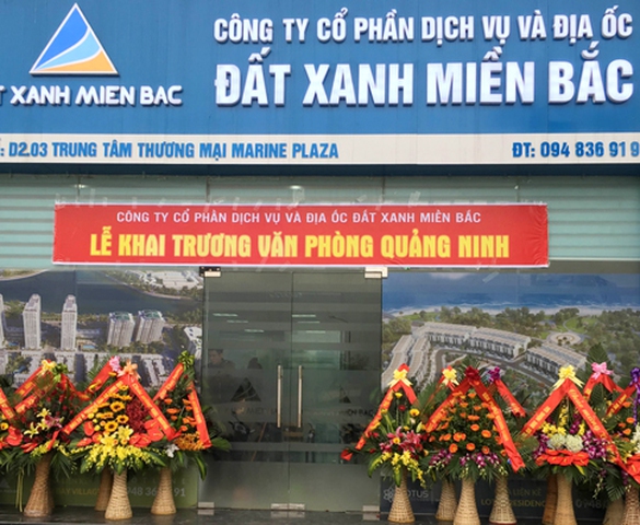 Công ty CPDV & Địa Ốc Đất Xanh Miền Bắc