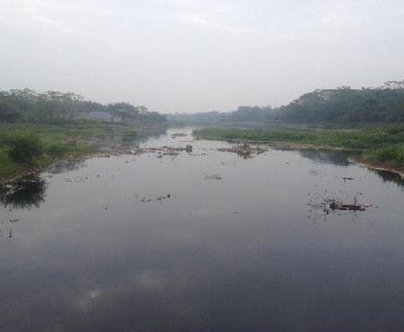 Người thổi kèn lá dứa