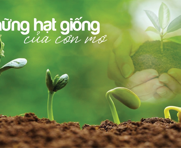 Những hạt giống của cơn mơ