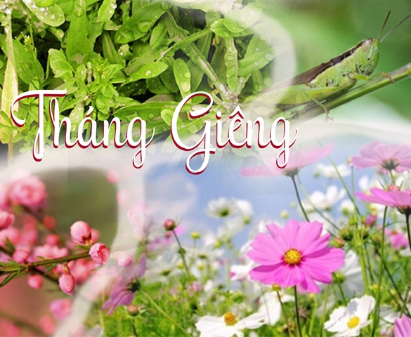 Những lối đi bí ẩn của tháng Giêng