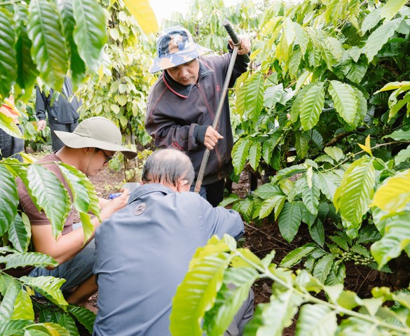 Hội thảo Công bố kết quả nghiên cứu Công nghệ bón phân thông minh & Giới thiệu bộ thiết bị Bón phân thông minh enfarm F và enfarm F+