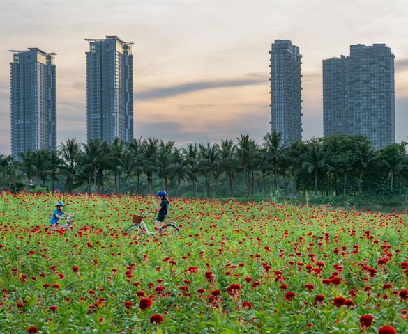 Ông bố kể chuyện tìm thấy nơi ở “định mệnh” cho cả gia đình sau một lần đi lạc