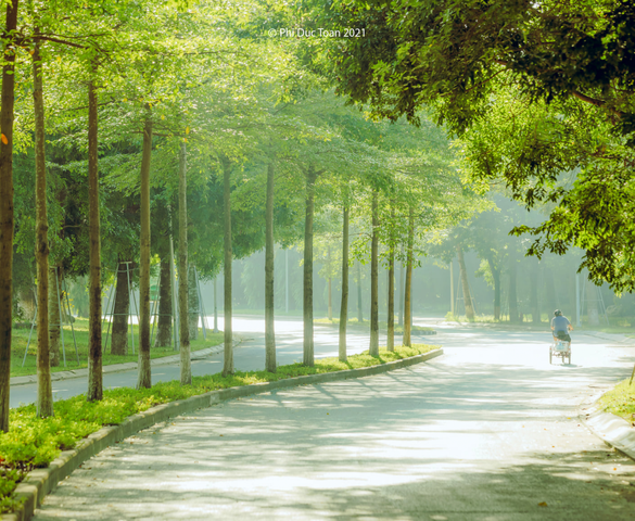 Bác sĩ “kê thiên nhiên” vào đơn thuốc trị bệnh