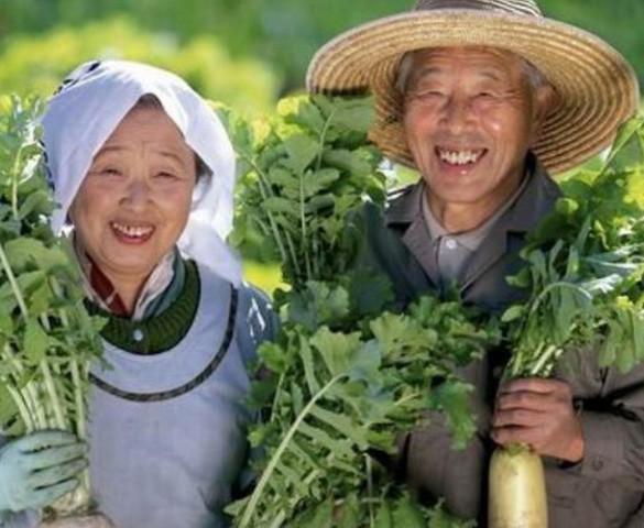Vùng đất Blue Zones và 9 bí quyết sống trường thọ của người dân