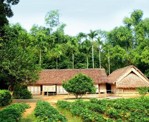 Hương nắng Làng Sen
