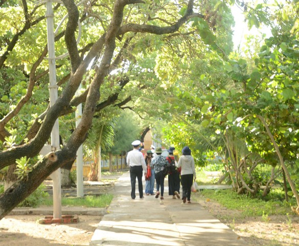 Ưỡn ngực mà xanh
