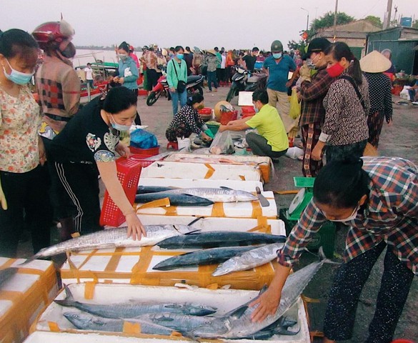 Chợ cá làng tôi: Đậm đà vị biển