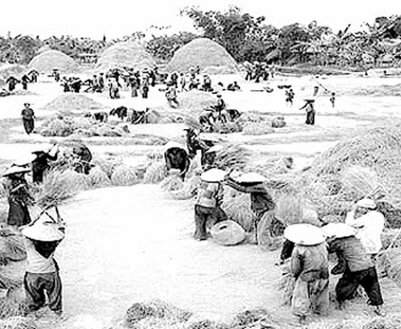 Phấn đấu như rứa a?