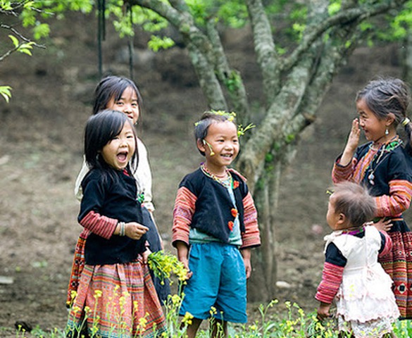 Những con cá kỳ ảo