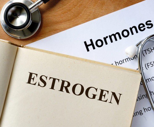 Nỗi niềm "đồng khô ruộng cạn" hay câu chuyện của "cô nàng đỏng đảnh" có tên là estrogen