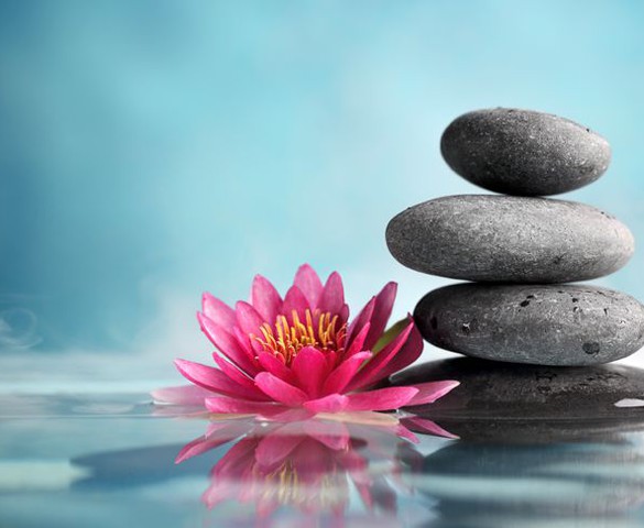 VESAK 2561 tại đất nước Phật giáo Sri Lanka, nghĩ về bảo tàng Phật giáo Việt Nam