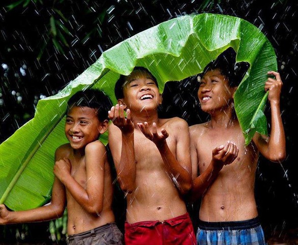Cá sủ và cá chuối