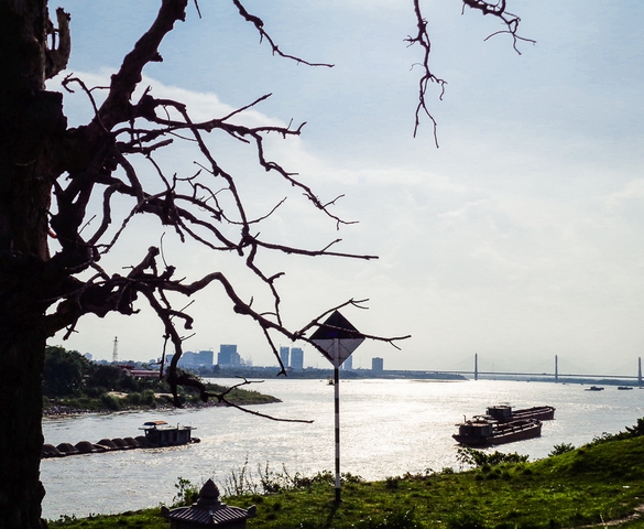 Nhớ những chuyến phà xưa