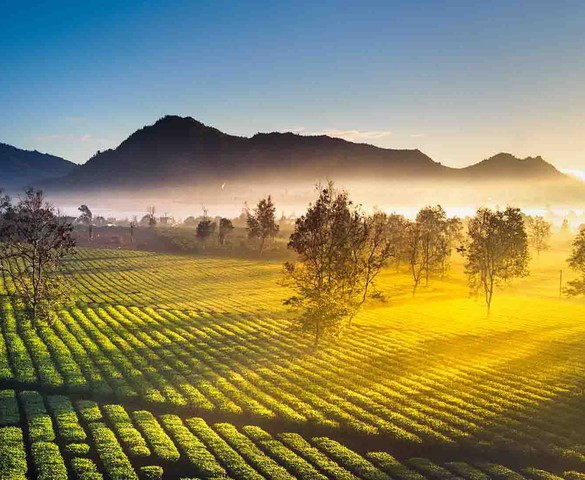 Lần đầu với Đăk Glei