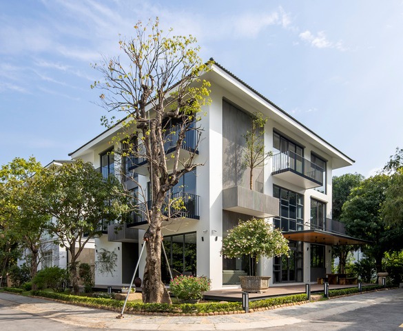 Thiết kế tinh tế đậm hồn Việt trong ngôi biệt thự lấy cảm hứng từ tre