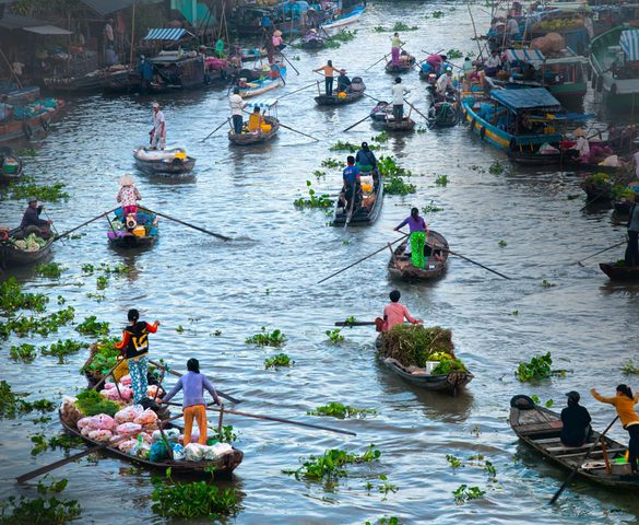 Nghĩ từ nhung nhớ