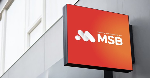 MSB “gặp hạn” trước thềm đại hội cổ đông hay lỗ hổng của một hệ thống?