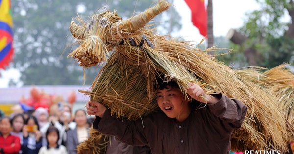 Trâu rơm, bò rạ - Lễ hội mùng 4 Tết của cư dân lúa nước