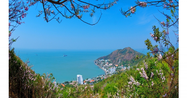 vung tau has become a familiar tourist