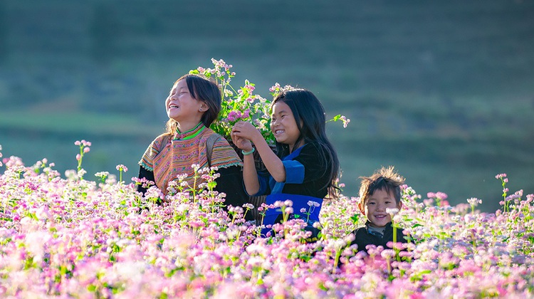 Hành trình bản sắc: Top 5 điểm đến miền Bắc không nên bỏ lỡ cho trải nghiệm văn hóa bản địa