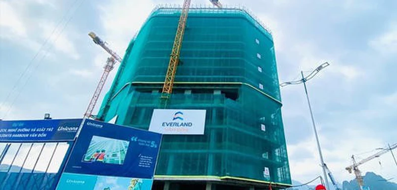 Everland (EVG): Lãi ròng quý IV cao gấp 10 lần cùng kỳ, đạt hơn 60 tỷ đồng