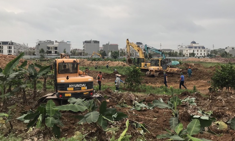 Hà Nội tăng mạnh mức thưởng bàn giao đất nông nghiệp, mở rộng hỗ trợ tái định cư